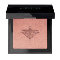 BLUSH ILLUMINATEUR  300 Rose Jaipur - 5,5 G-en