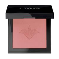 BLUSH ILLUMINATEUR  301 Rose Nevada - 5,5 G-en