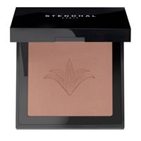 BLUSH ILLUMINATEUR  302 Brun Petra - 5,5 G-en