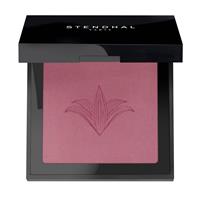 BLUSH ILLUMINATEUR  303 Rose Marrakech - 5,5 G-en