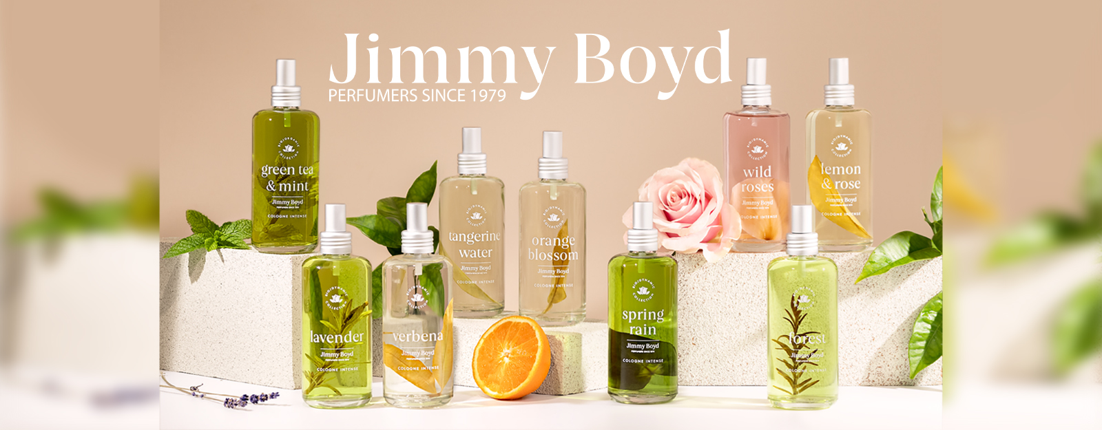 jimmy-boyd-bodegon